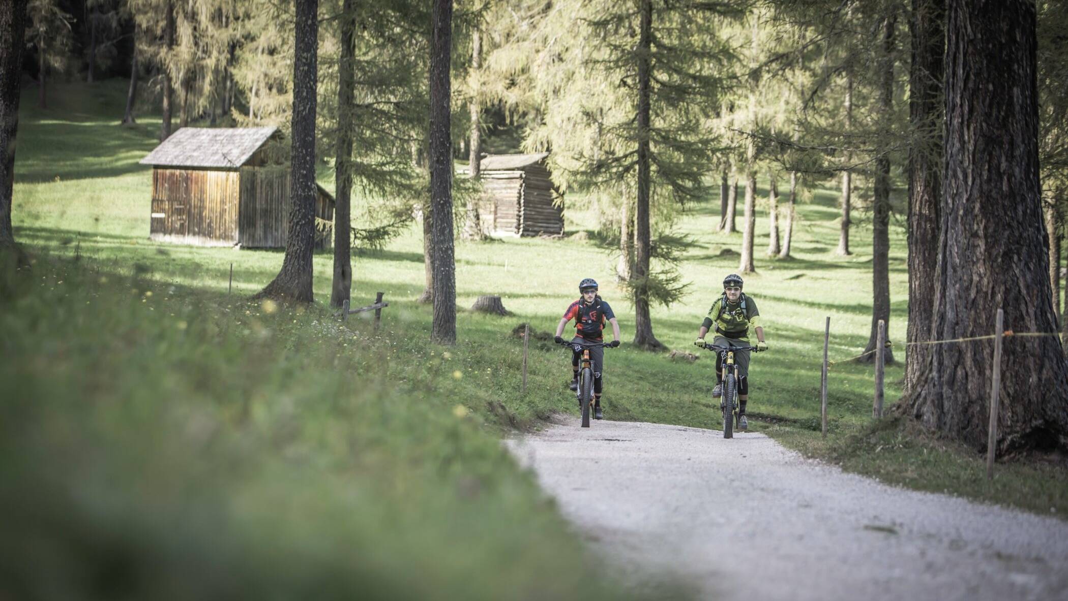 Zwei Radfahrer auf Mountainbikes fahren durch einen Waldweg.