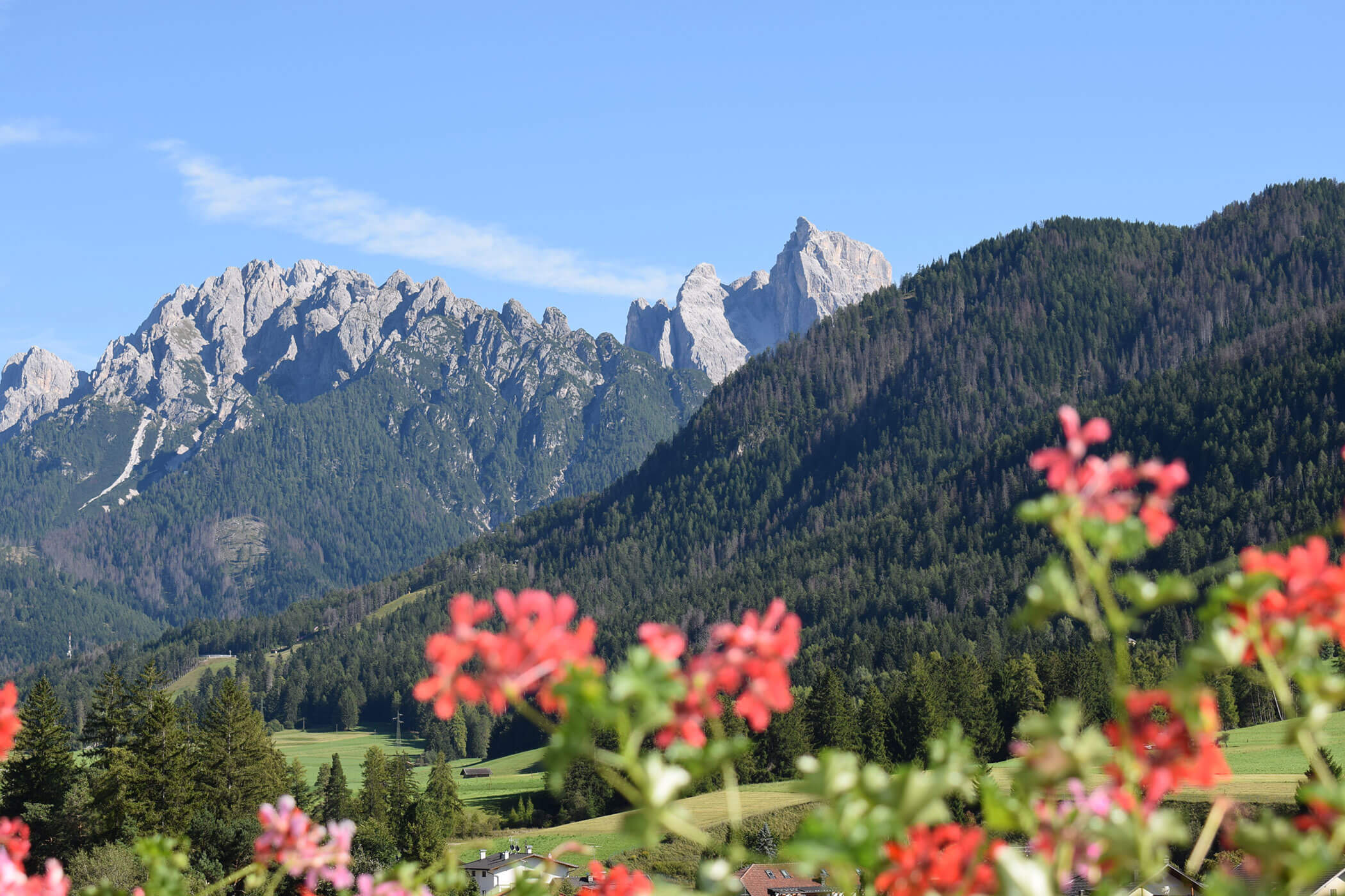 Un balcone con fiori rossi e splendide montagne sullo sfondo.